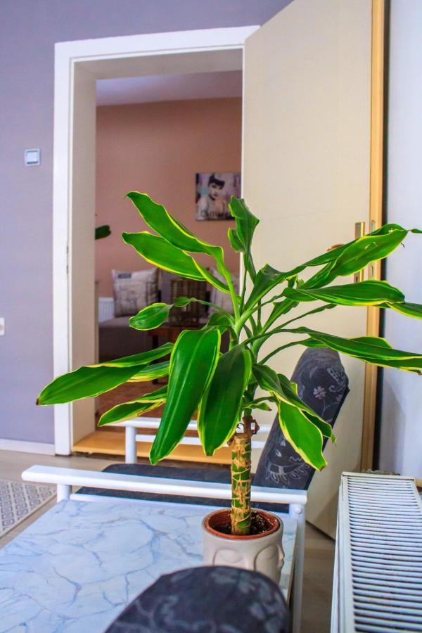 Bb Downtown Apartment Bajina Basta Exterior photo