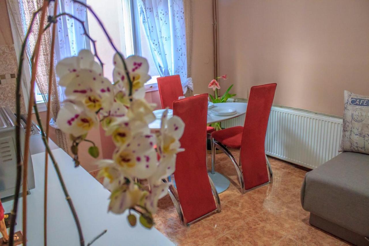 Bb Downtown Apartment Bajina Basta Exterior photo